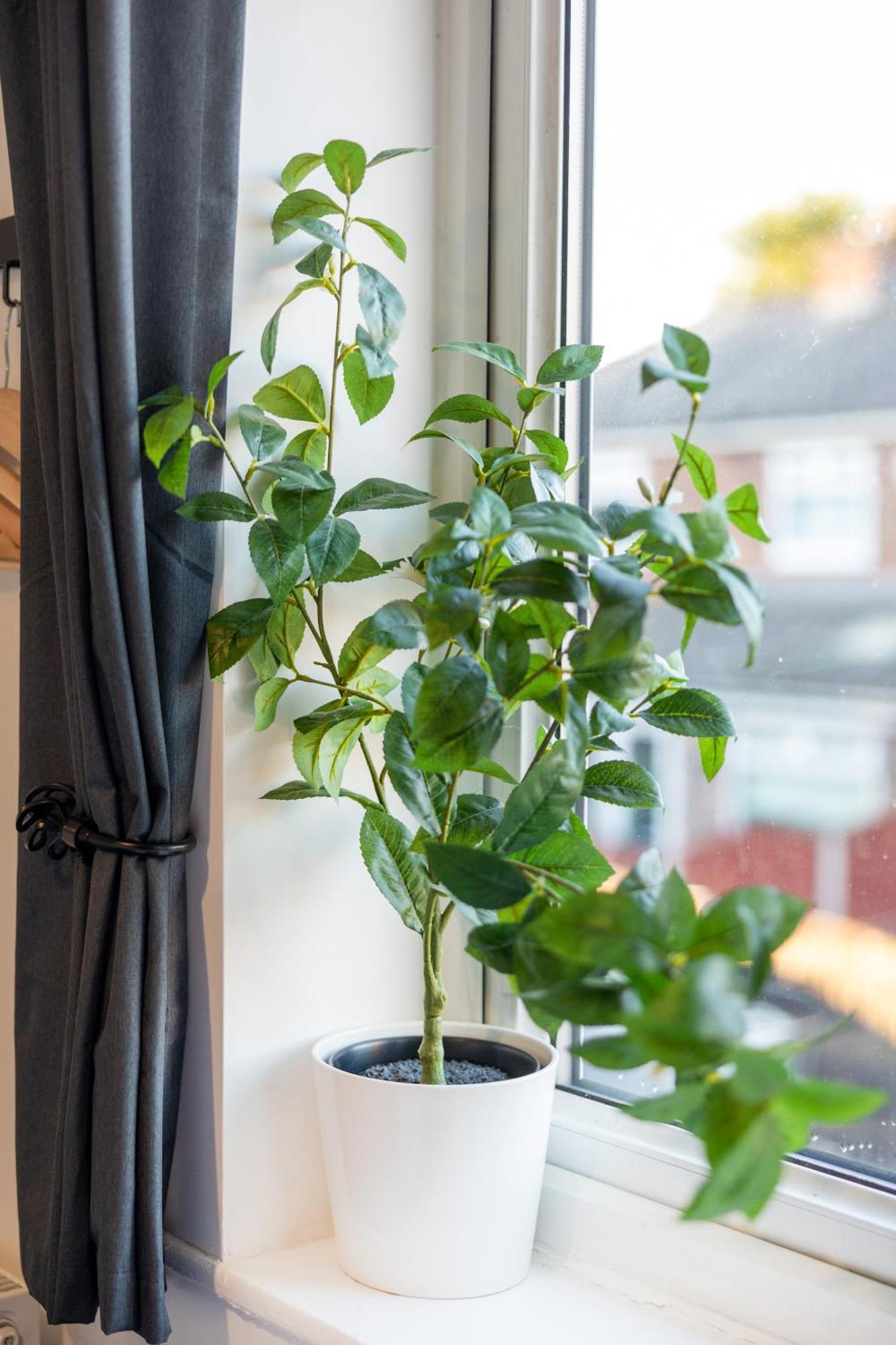 The Heart - Cosy 3 Bedroom House With Double Driveway And Garden In Manchester Buitenkant foto